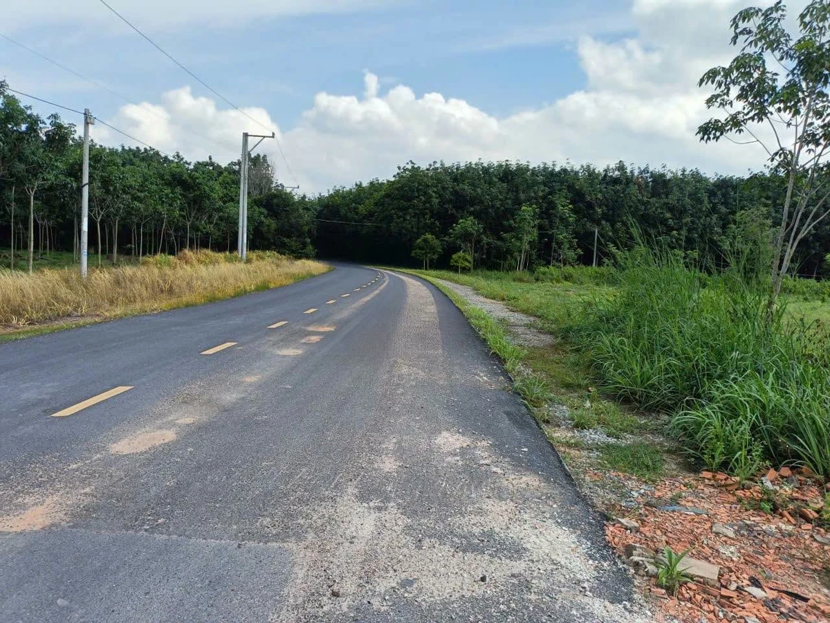 Bán đất mặt tiền 7800m² Bến Cát Bình Dương, giá 8 tỷ - Ảnh thu nhỏ 2