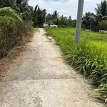Bán đất hữu định Phú Tân Bến Tre 1.277m² 900 triệu - Ảnh thu nhỏ 1