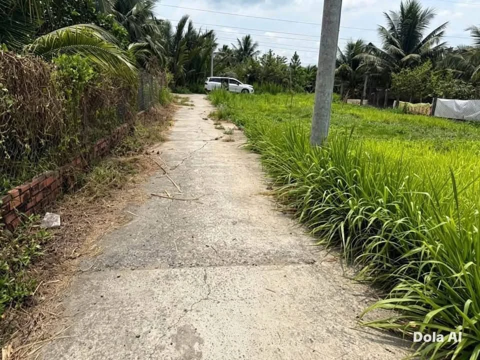 Bán đất hữu định Phú Tân Bến Tre 1.277m² 900 triệu - Ảnh 1