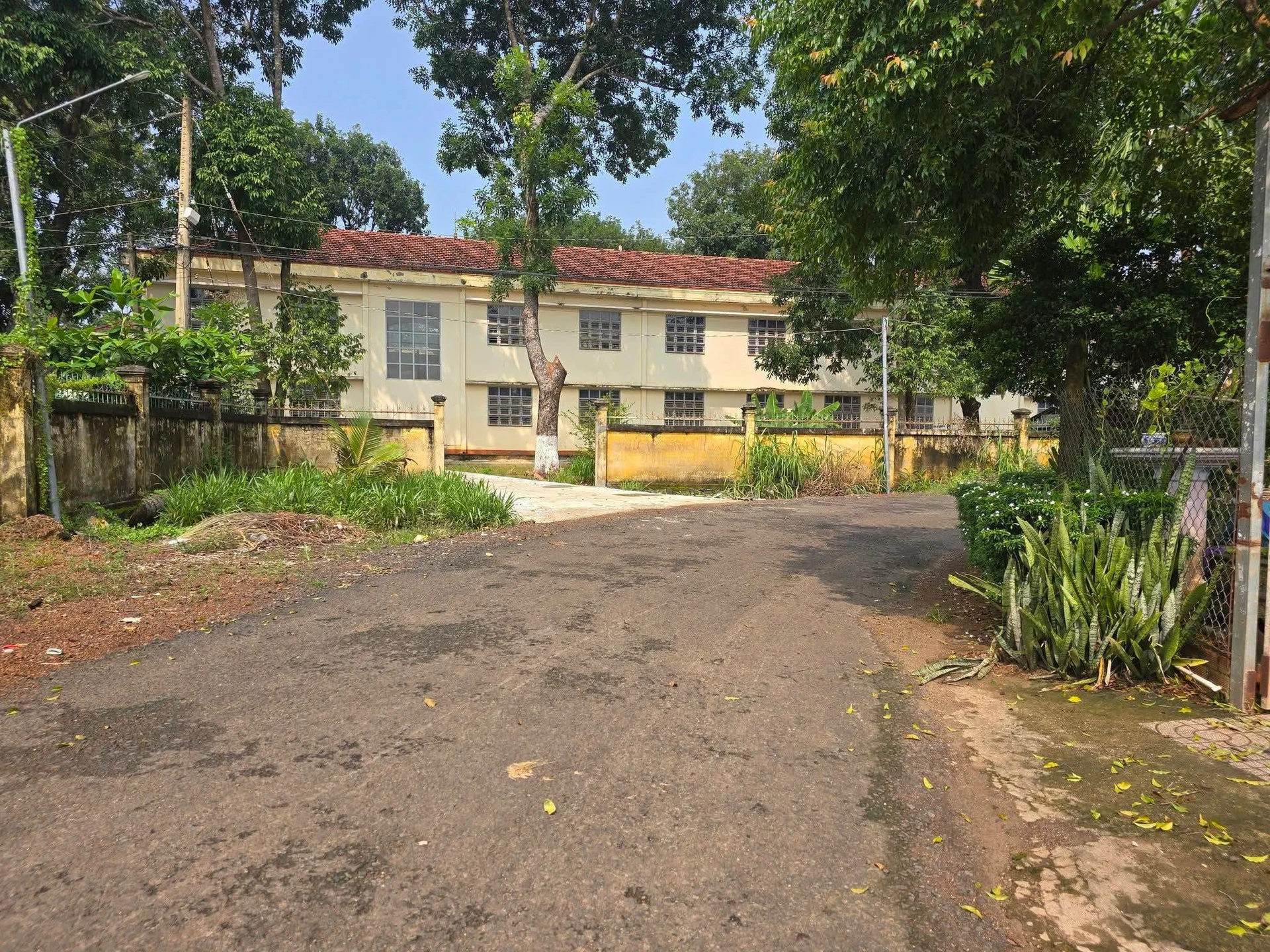 Bán đất tặng nhà 3 phòng ngủ 3240m² Bù Đốp Bình Phước - Ảnh 1