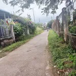 Bán đất sào Xuân Điền Hàm Hiệp, 500m², 1,5 tỷ - Ảnh thu nhỏ 2