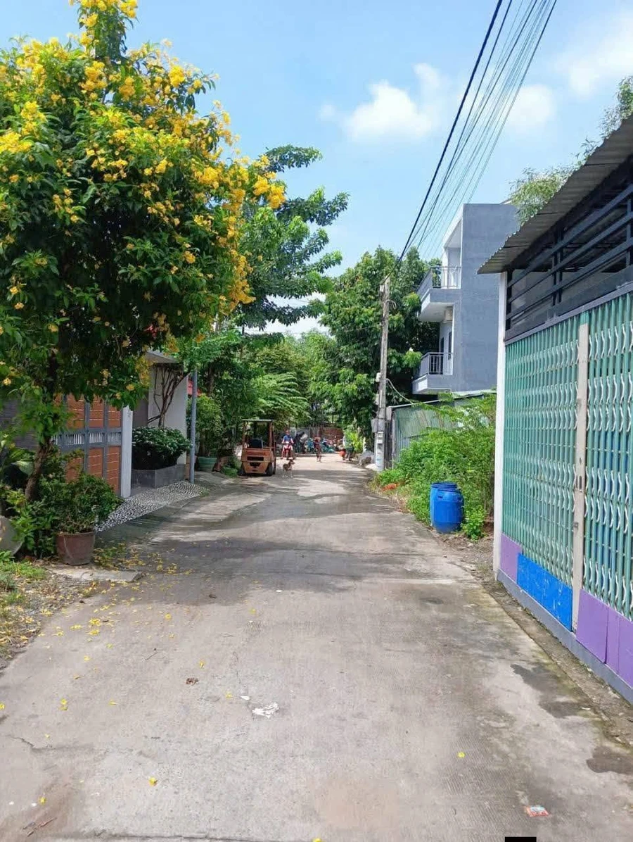 Bán đất nền Bình Hoà 111,5m2, giá 3 tỷ 3 - Ảnh thu nhỏ 4