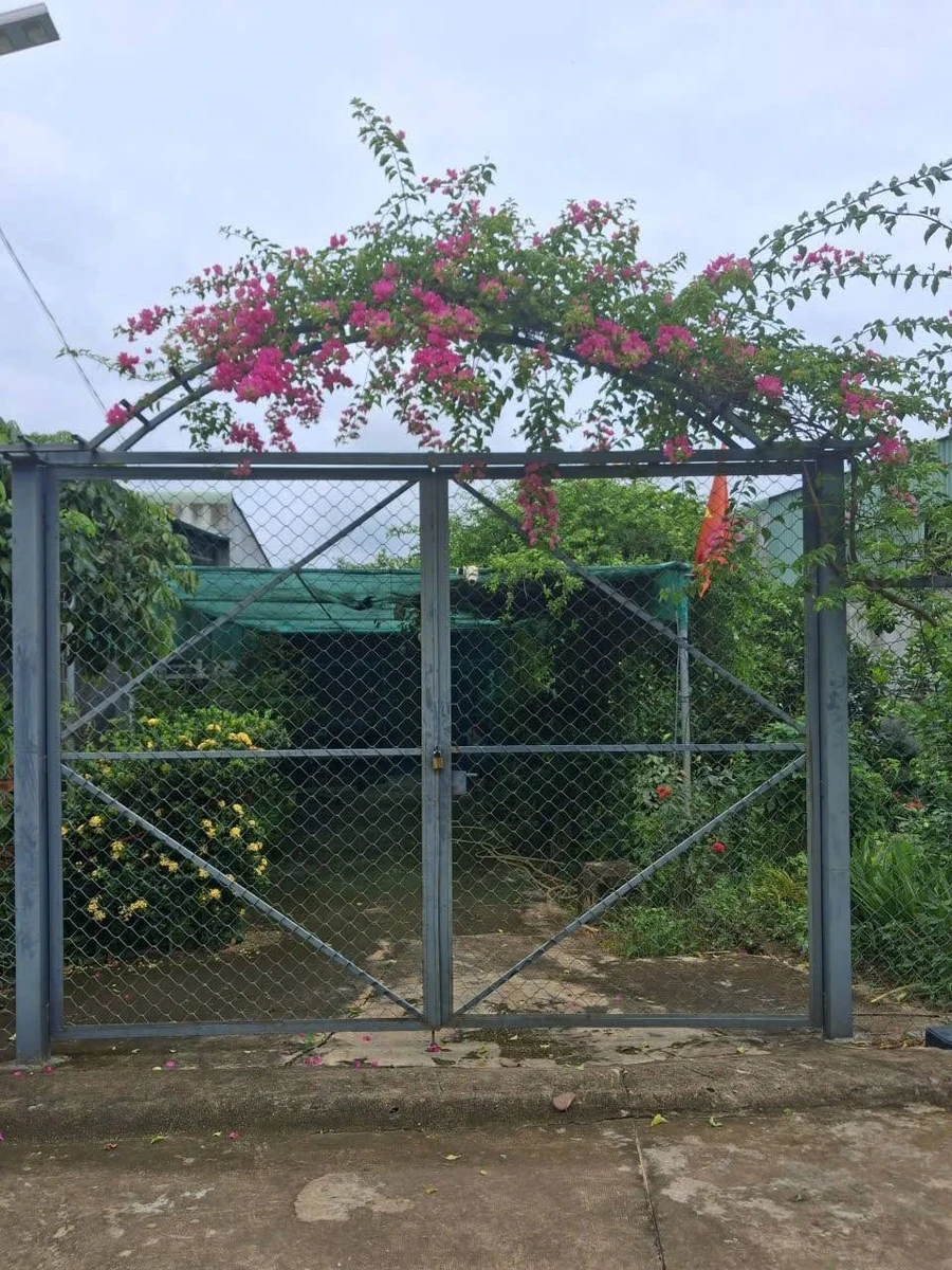 Bán nhà 1 phòng ngủ 420m² Đồng Xoài 1 tỷ 200 triệu - Ảnh thu nhỏ 2