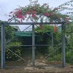 Bán nhà 1 phòng ngủ 420m² Đồng Xoài 1 tỷ 200 triệu - Ảnh thu nhỏ 2
