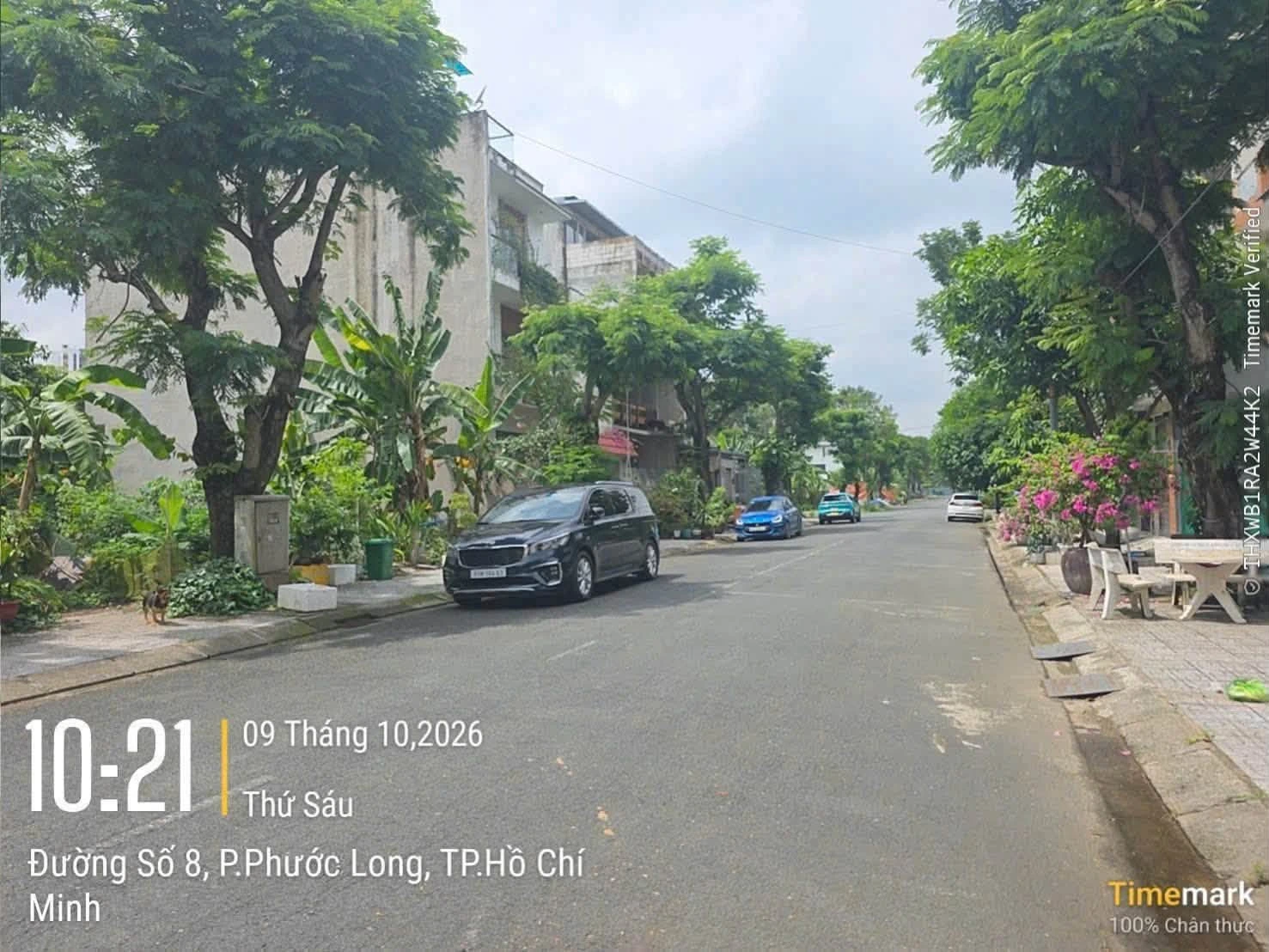 Bán đất 6x20m Liên Phường Bình Chánh 9 tỷ - Ảnh 1