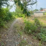 Bán đất Ngã Bảy Hậu Giang giá tốt - Ảnh thu nhỏ 14