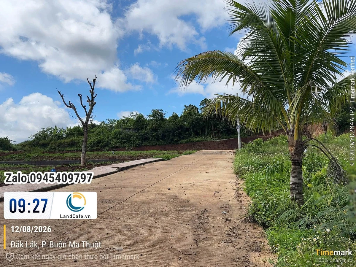 Bán nhà mê tân cổ điển 105m² đường Nguyễn Hữu Thấu - Ảnh 1