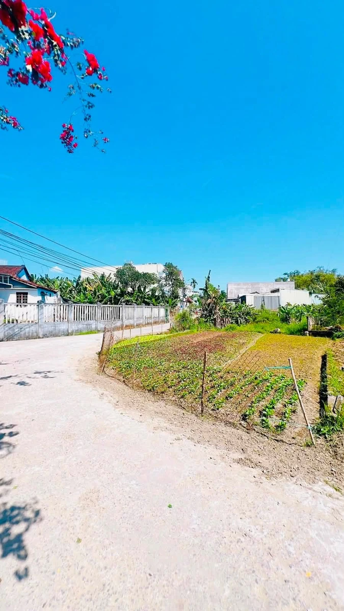 Bán đất Hòa Tiến Đà Nẵng 120m² mặt tiền 8m - Ảnh thu nhỏ 2