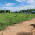 Bán đất thổ cư 150m² Tây Ninh 239 triệu - Ảnh thu nhỏ 4
