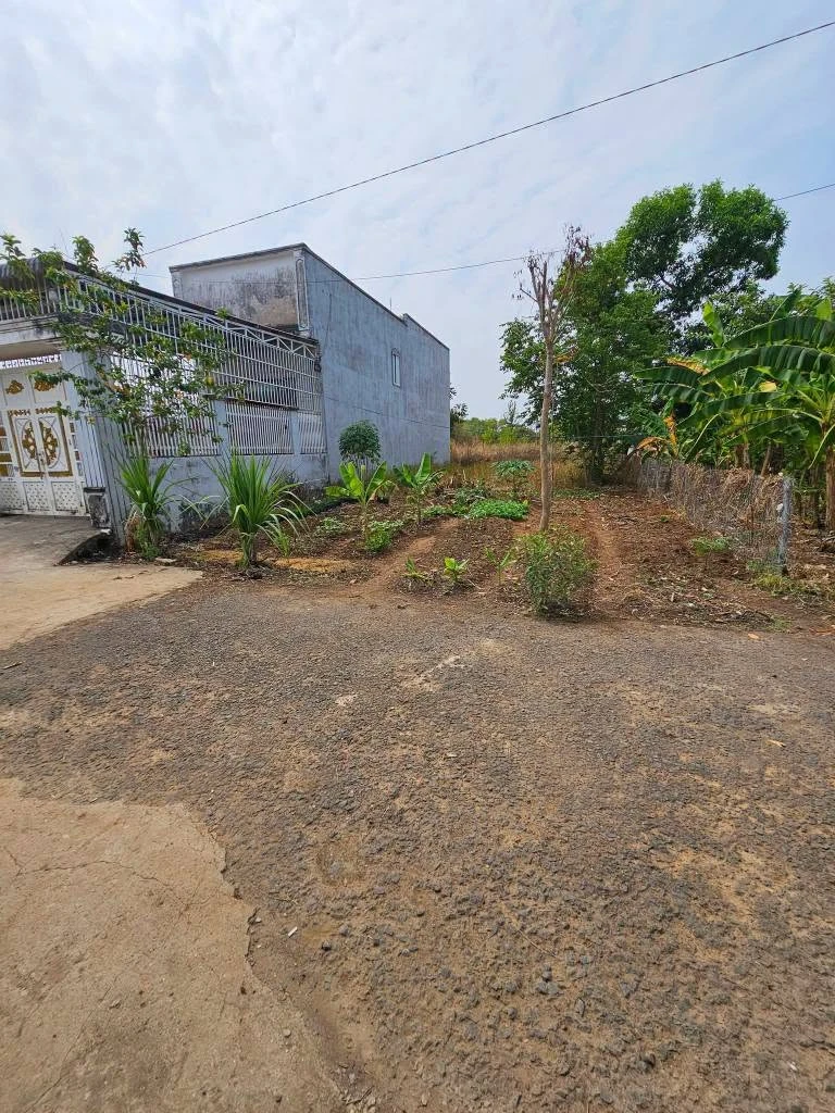 Bán đất 250m² Bình Phước, Đồng Nai 1,4 tỷ - Ảnh thu nhỏ 3