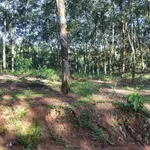 Bán đất Tân Phước Đồng Phú 1.6ha, 1.8 triệu/m2 - Ảnh thu nhỏ 2