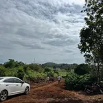 Bán đất 4 sào Komleo Cần Giờ có cây ăn trái - Ảnh thu nhỏ 2
