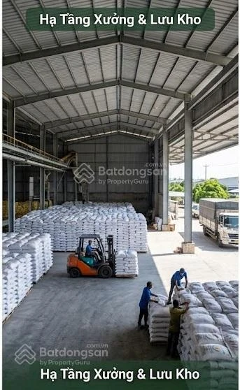 Bán gấp nhà xưởng mặt tiền đường Tỉnh 852 & mặt sông Sa Đéc, trung tâm lúa gạo Miền Tây - Ảnh 1