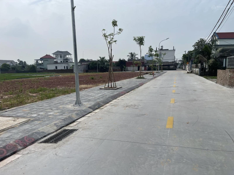 Bán đất tại Khu đấu giá, Phong nội, Bình Dân, Kim Thành cũ, 99m2 ngang 5,5m đường 5,5m giá 9,8tr/m