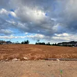 Bán đất sổ riêng xây dựng 100m2 Đà Lạt - Ảnh thu nhỏ 4