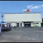 Bán nhà 1 trệt 1 lầu 100m2, 4PN 3WC, giá 2,9 tỷ tại Cần Giuộc, Long An - Ảnh thu nhỏ 2