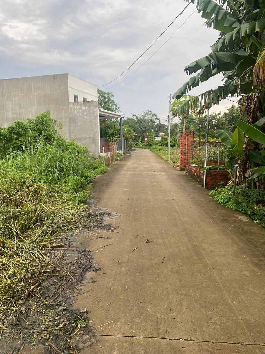 Bán lô đất vườn 2400m2 có 300m2 thổ cư, hai mặt tiền tại xã La Ngà, Đồng Nai - Ảnh thu nhỏ 2