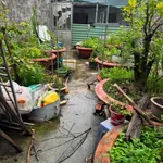 Bán nền đất 81m2 mặt sông Lê Thị Hồng Gấm, Hóc Môn - Ảnh thu nhỏ 3