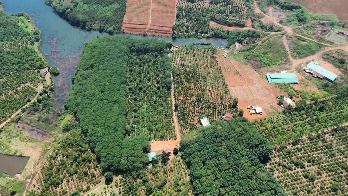 Bán 5ha đất vườn view hồ giá 11 tỷ tại Nhân Cơ, Đắk Nông - Ảnh 1