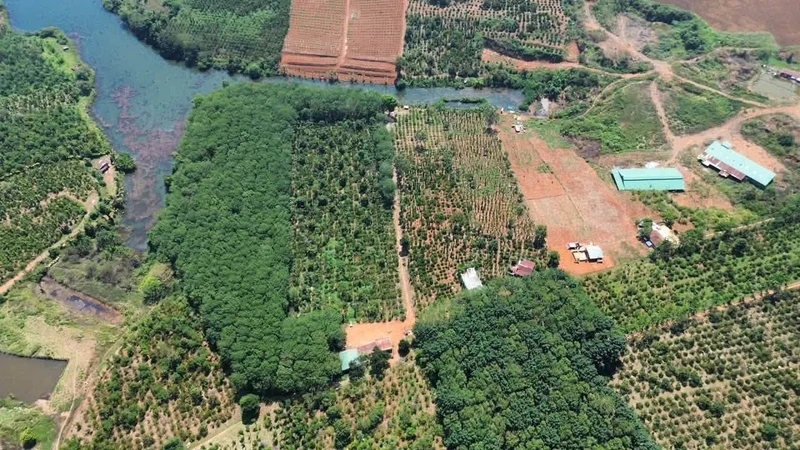 Bán 5ha đất vườn view hồ giá 11 tỷ tại Nhân Cơ, Đắk Nông