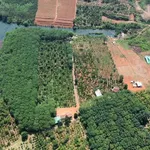 Bán 5ha đất vườn view hồ giá 11 tỷ tại Nhân Cơ, Đắk Nông - Ảnh thu nhỏ 1