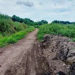 Bán đất vườn cây lâu năm 1.059m2 tại Phú An, gần cầu Ông Cộ - Ảnh thu nhỏ 1