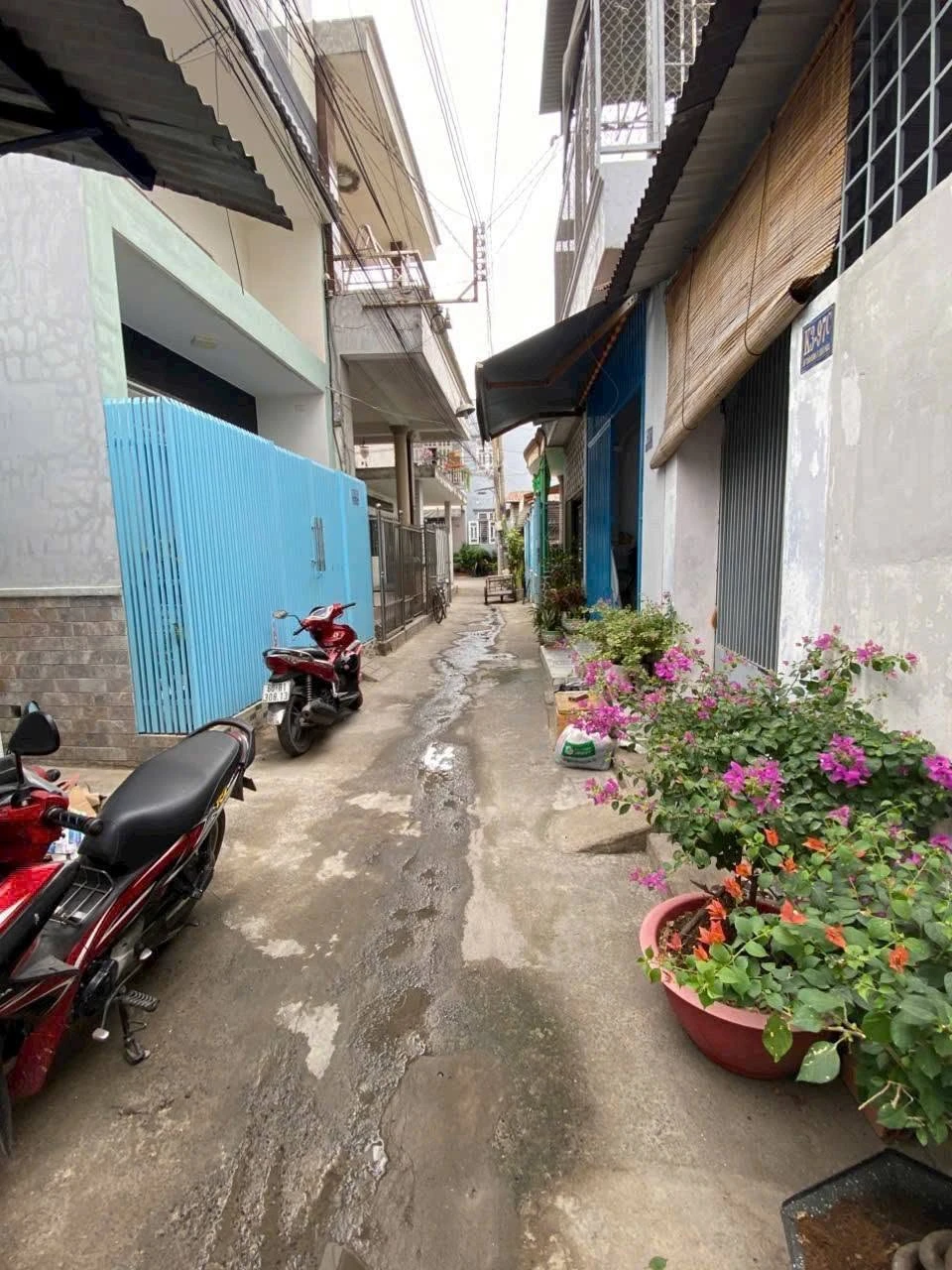 Bán nhà cấp 4 Phường Bửu Hòa 46m2 giá 1 tỷ 350 triệu - Ảnh 1