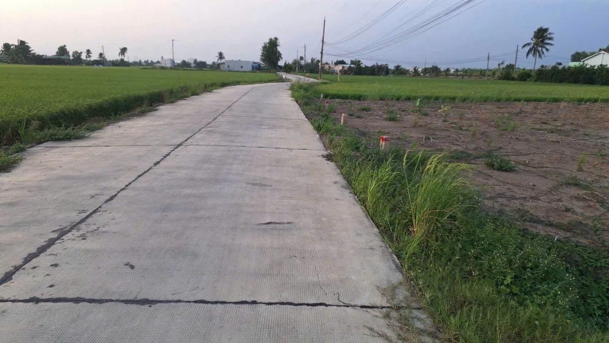 Bán đất thổ cư 200m² Nguyễn Văn Vịnh Tân Trụ Tây Ninh 790 triệu - Ảnh thu nhỏ 3