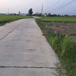 Bán đất thổ cư 200m² Nguyễn Văn Vịnh Tân Trụ Tây Ninh 790 triệu - Ảnh thu nhỏ 3