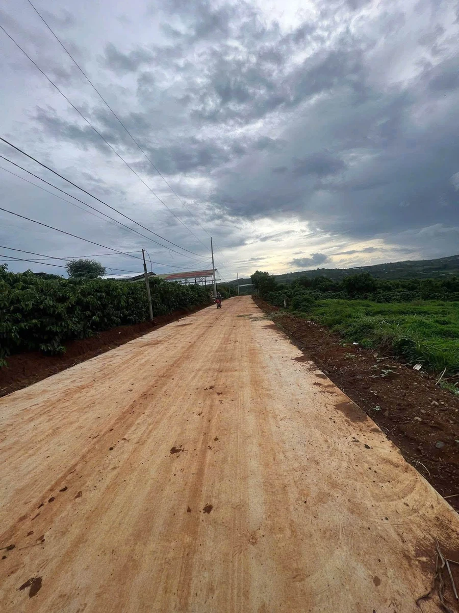 Bán đất 1000m² mặt đường bê tông 6m, lên full thổ cư tại xã Tân Hội, Lâm Đồng - Ảnh thu nhỏ 2