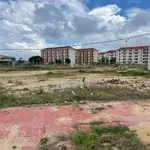 Bán đất mặt tiền 100m2 khu Trường Cao đẳng Bình Định, Nhơn Phú, giá 2,25 tỷ - Ảnh thu nhỏ 1