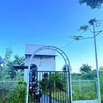 Bán nhà Nguyễn Sỹ Huỳnh Bình Tân 100m2 4,85 tỷ - Ảnh thu nhỏ 3
