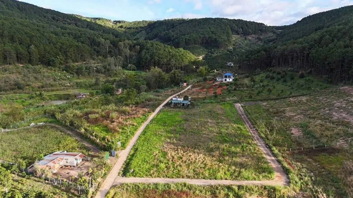 Bán đất Nam Ban Lâm Đồng 1000m² giá 1 tỷ 750 triệu - Ảnh 1