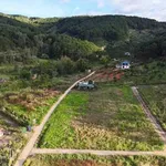 Bán đất Nam Ban Lâm Đồng 1000m² giá 1 tỷ 750 triệu - Ảnh thu nhỏ 1