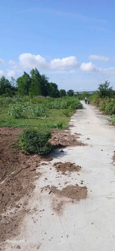 Bán đất 9240m² Sông Bình, Bắc Bình, Bình Thuận 2.3 tỷ