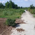 Bán đất 9240m² Sông Bình, Bắc Bình, Bình Thuận 2.3 tỷ - Ảnh thu nhỏ 1