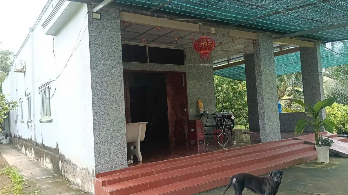 Bán đất vườn 12 công Châu Bình GT cũ - Ảnh thu nhỏ 2