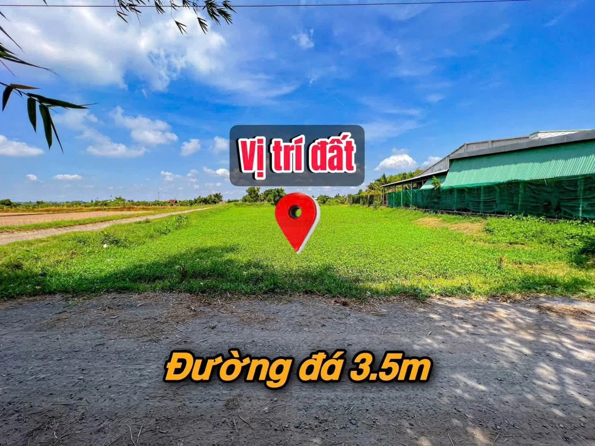 Bán đất Phước Trạch 1746m² thổ cư 1222m² Gò Dầu - Ảnh thu nhỏ 3