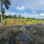 Bán 1000m2 đất Ấp 2 Lương Bình, Hóc Môn, 750tr/1000m2 - Ảnh thu nhỏ 2