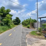 Bán đất thổ cư mặt tiền đường tỉnh 834B, xã Mỹ Phú, Thủ Thừa, Long An, 348m2, 2 tỷ 700 - Ảnh thu nhỏ 1