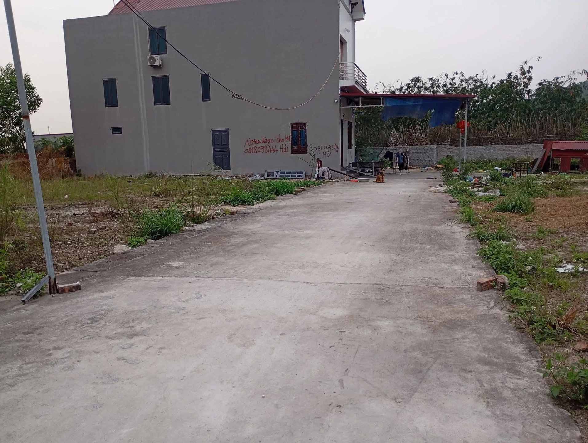 Bán lô đất 77,5m² mặt tiền 5m Bắc Ninh - Ảnh 1