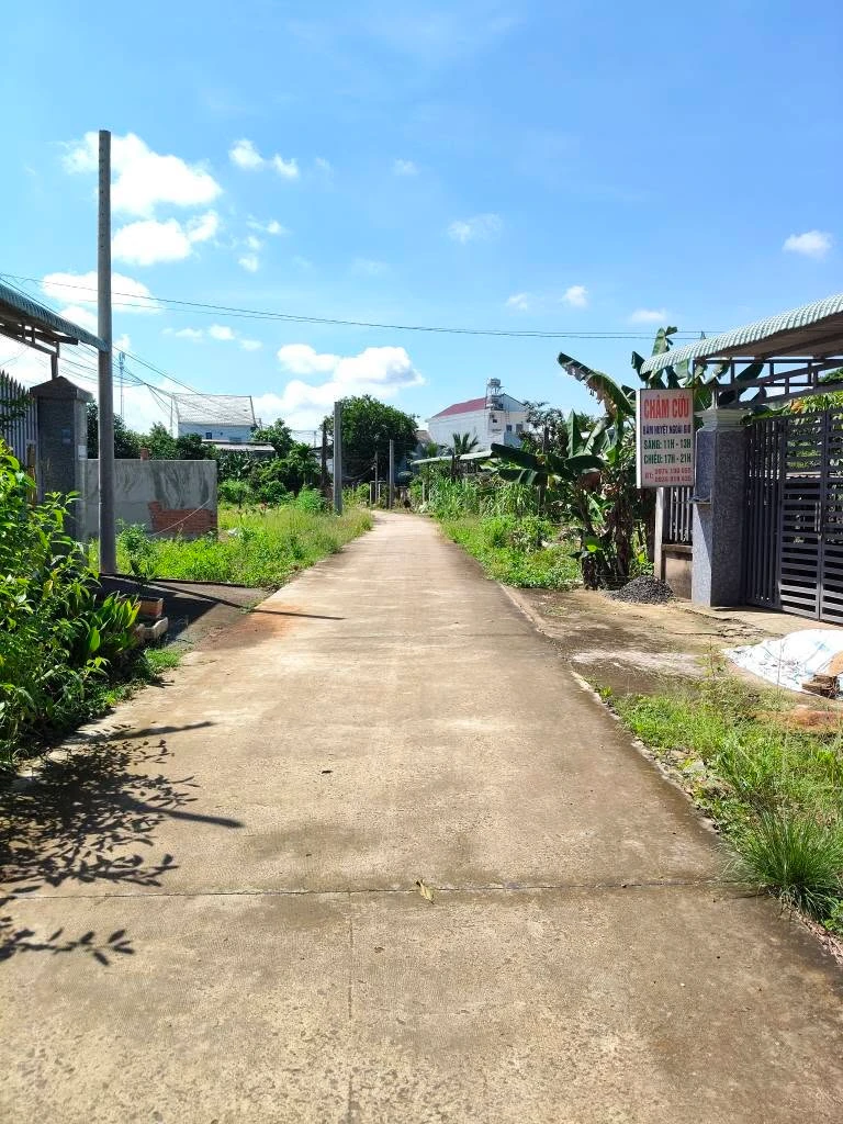 Bán đất chợ Cầu 2, Hóc Môn, 583m², 1 tỉ 180 triệu - Ảnh thu nhỏ 2