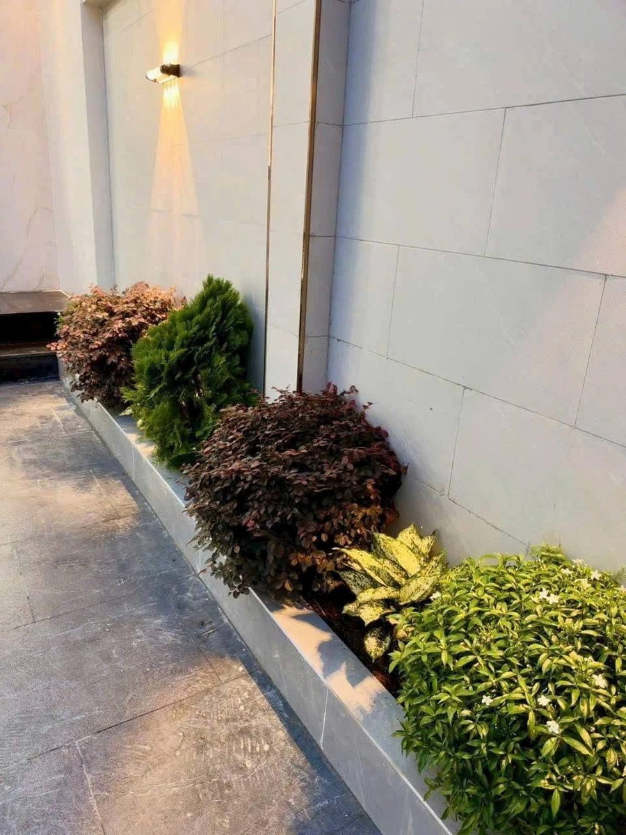 Bán nhà 1 trệt 1 lầu 135m2 mới xây, 3 phòng ngủ, Long Điền, giá 3,2 tỷ - Ảnh thu nhỏ 3