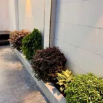 Bán nhà 1 trệt 1 lầu 135m2 mới xây, 3 phòng ngủ, Long Điền, giá 3,2 tỷ - Ảnh thu nhỏ 3
