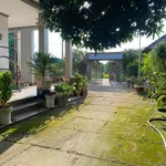 Bán đất tặng nhà vườn 2.582m² Phước Hải Bà Rịa - Vũng Tàu - Ảnh thu nhỏ 3