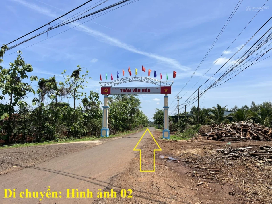 8 sào gỗ tếch tại huyện Cư Mgar, Đắk Lắk - Ảnh thu nhỏ 4