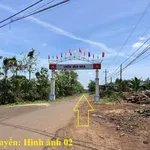 8 sào gỗ tếch tại huyện Cư Mgar, Đắk Lắk - Ảnh thu nhỏ 4