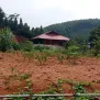 Bán đất xóm Bồ Đề, Phường Nam Cường, Tỉnh Lào Cai - Ảnh thu nhỏ 5