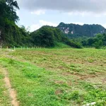 Bán đất 3750m2 mặt tiền 100m Mường Động, Phú Thọ - Ảnh thu nhỏ 4