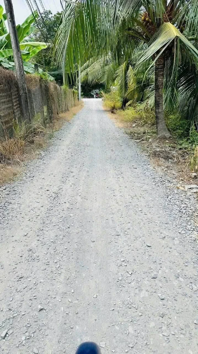 Bán đất 12x33m (396m²) Tân An Long An, 2.6 tỷ - Ảnh thu nhỏ 2